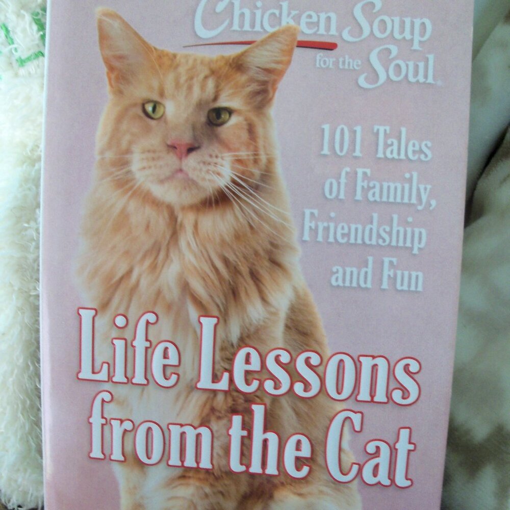 Life lessons from the cat